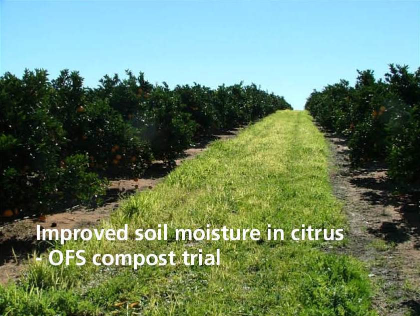 Compost-Citrus-improved-moisture-Sustainable-Farming-Solutions