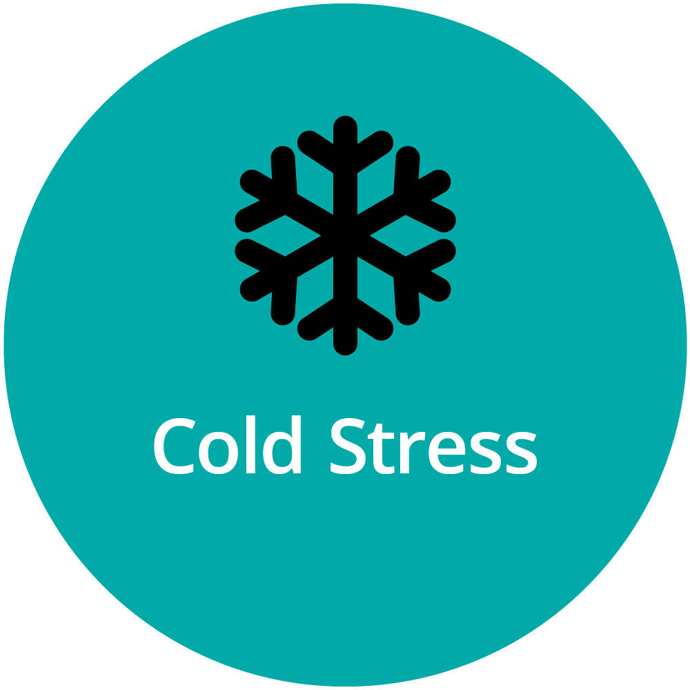 SFS Icon - Cold Stress