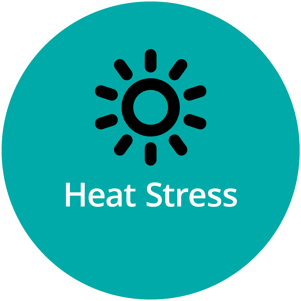 SFS Icon - Heat Stress
