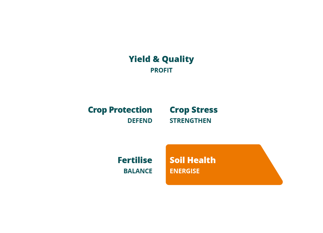 Pyramid - Soil Health SFS