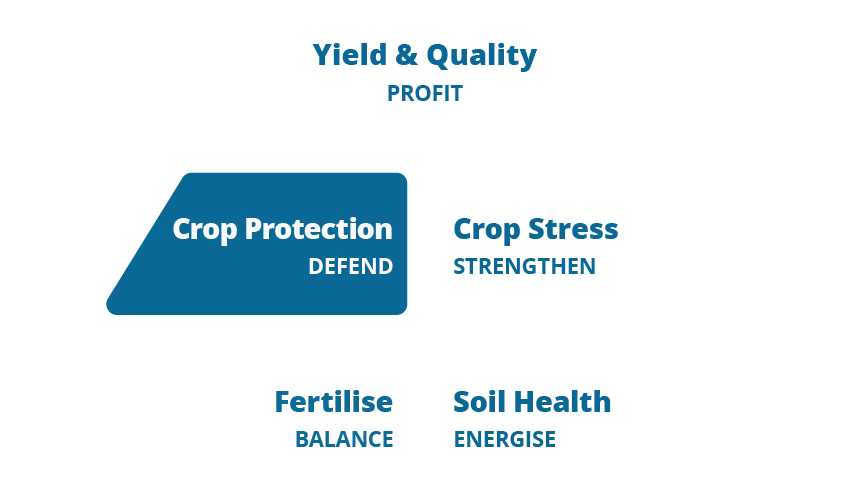 SFS Pyr crop protection
