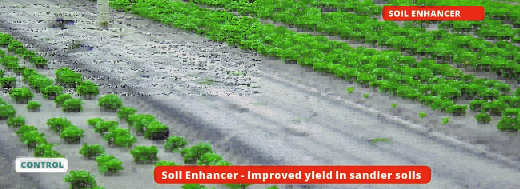 Soil Enh - improved yield sandy