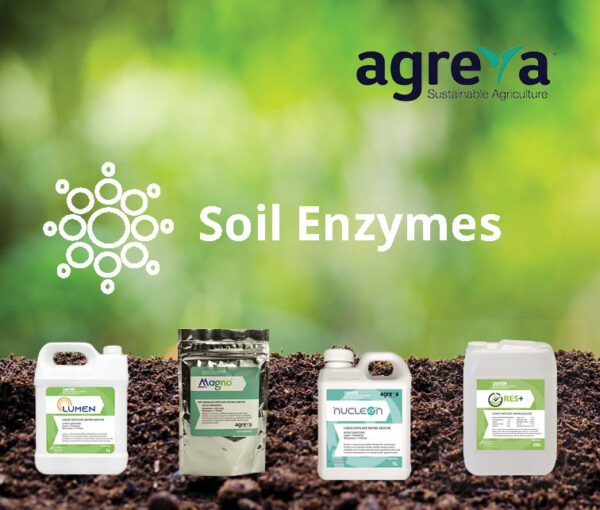 Agreva Soil Enzymes