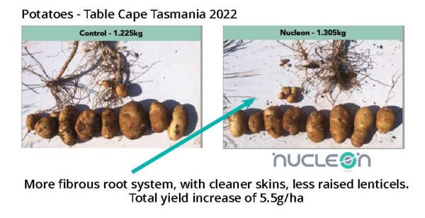 Nucleon Potatoes Trial Tasmania