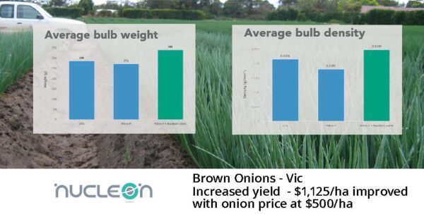 Nucleon brown onions trial
