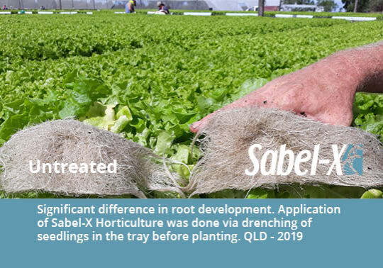 Sabel-X Website crop protection page