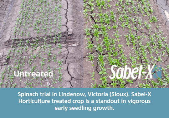 Sabel-X Website crop protection page 2